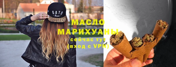 шишки Няндома