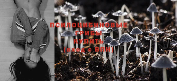 шишки Няндома