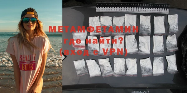 шишки Няндома